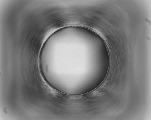 X0000096461440200802071824