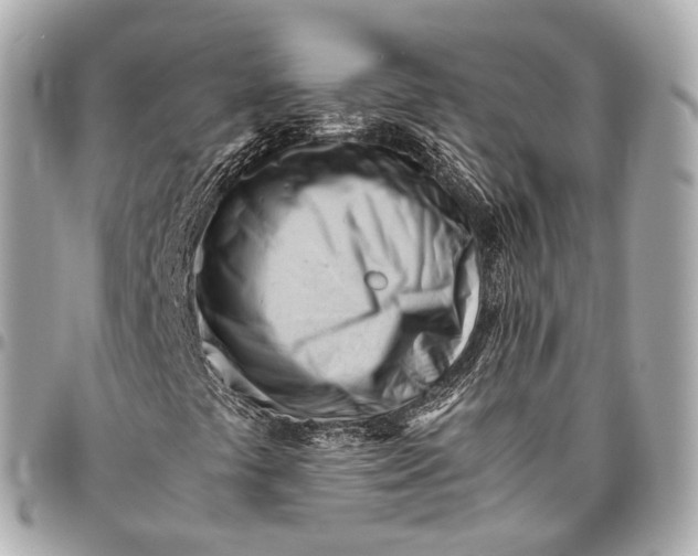X0000096461441200802071824