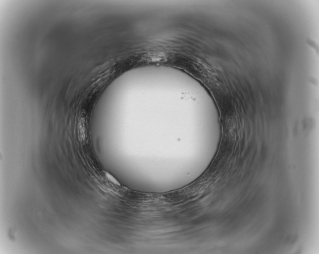 X0000096461442200802071824