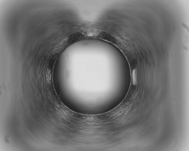 X0000096461443200802071824