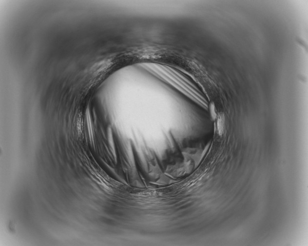 X0000096461444200802071823