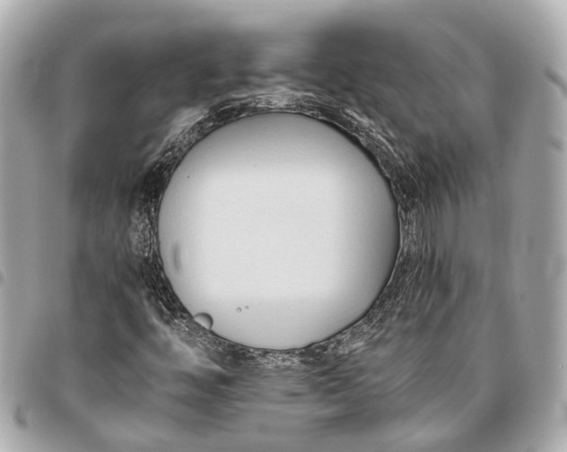 X0000096461446200802071823