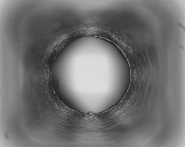 X0000096461447200802071823