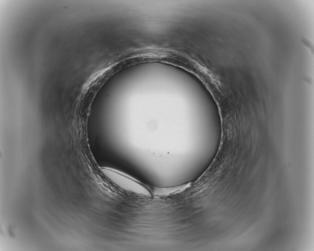 X0000096461448200802071823