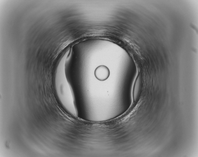 X0000096461449200802071823
