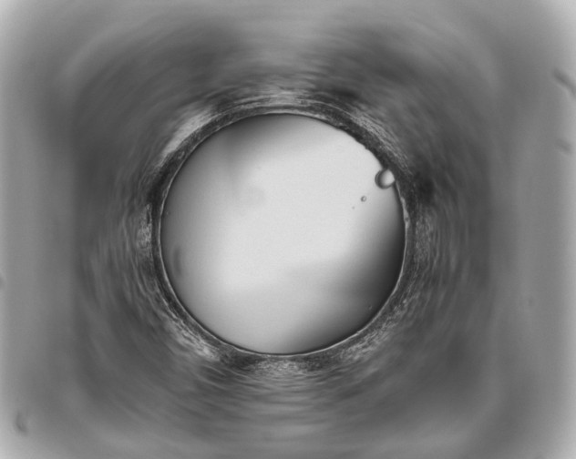 X0000096461450200802071823
