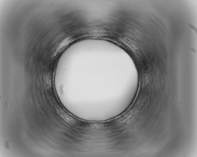 X0000096461451200802071823