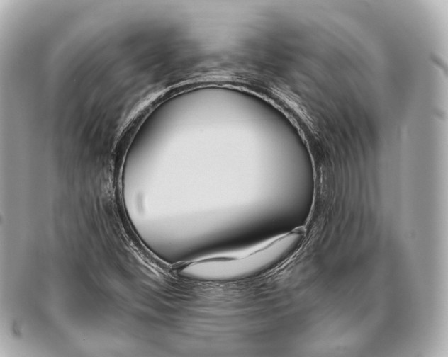 X0000096461452200802071823