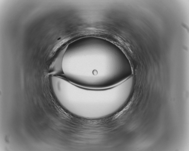 X0000096461453200802071823