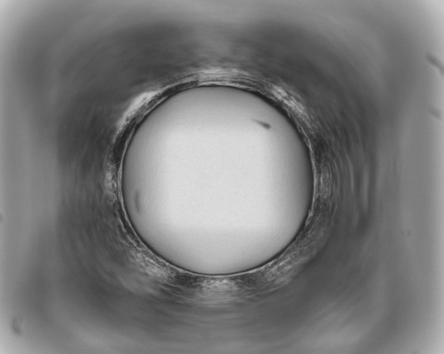X0000096461454200802071823