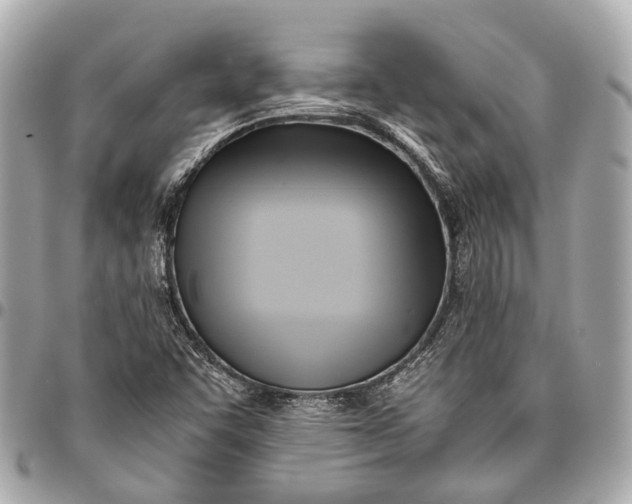 X0000096461455200802071823