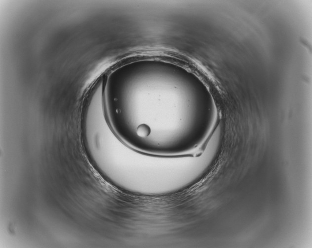 X0000096461456200802071823