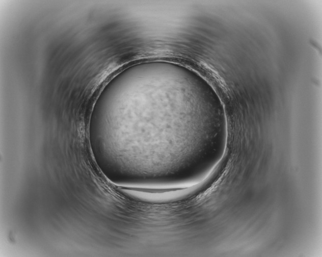 X0000096461457200802071823