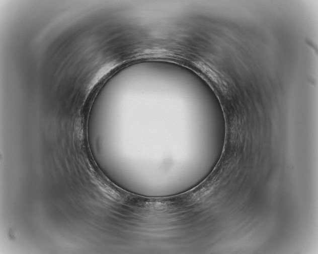 X0000096461458200802071823