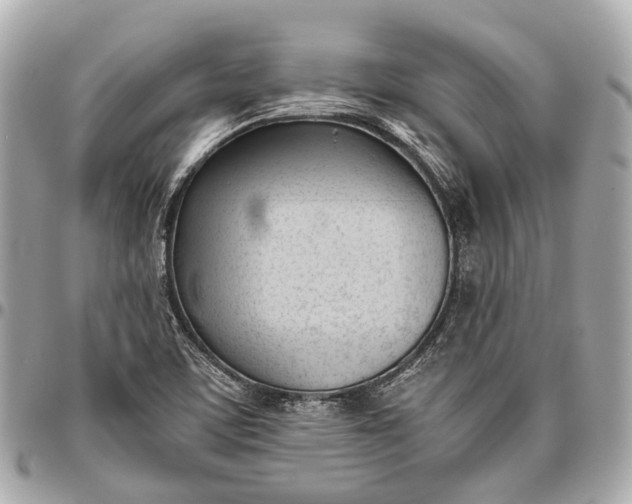 X0000096461459200802071823
