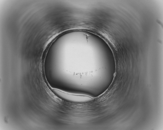 X0000096461460200802071823
