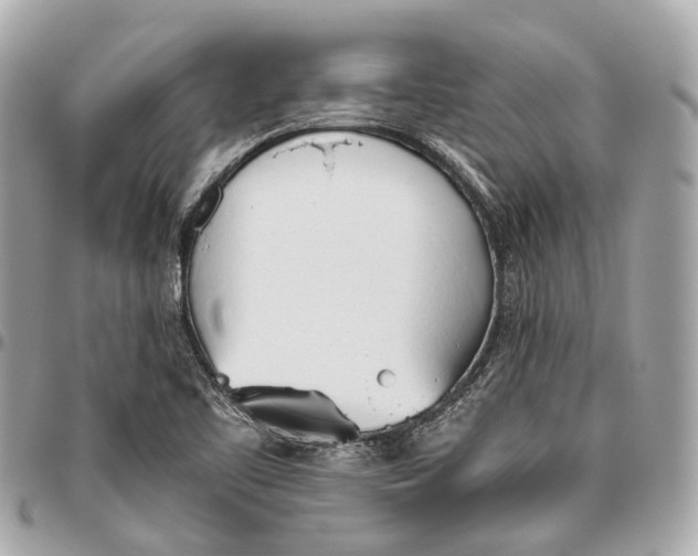 X0000096461461200802071823