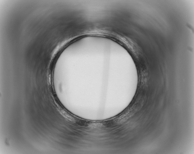 X0000096461462200802071823