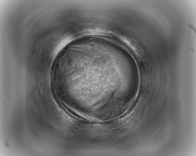 X0000096461463200802071823