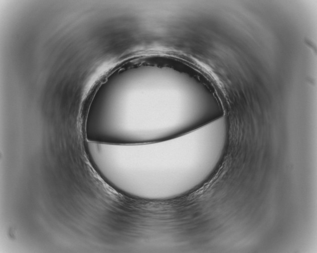 X0000096461464200802071823