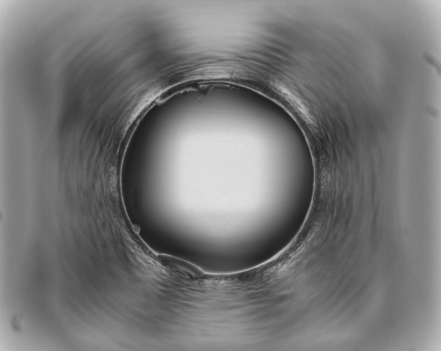 X0000096461465200802071823
