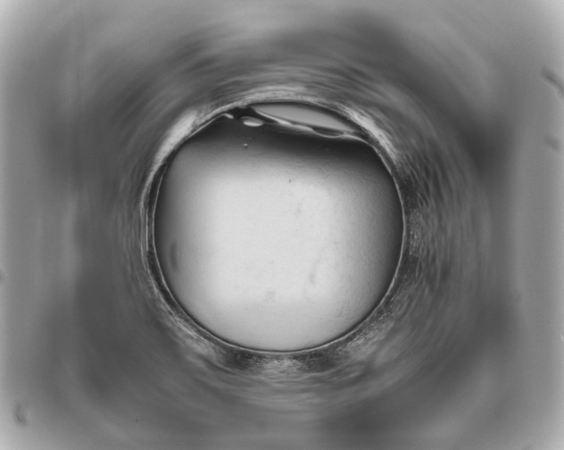 X0000096461467200802071823