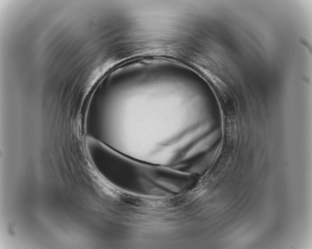 X0000096461468200802071823