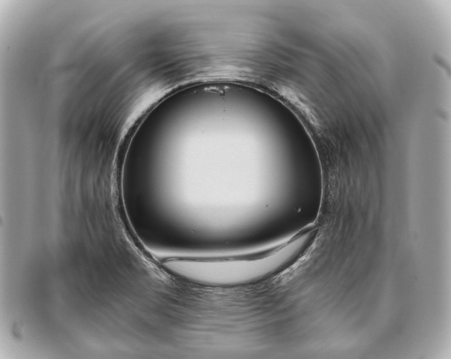 X0000096461469200802071823