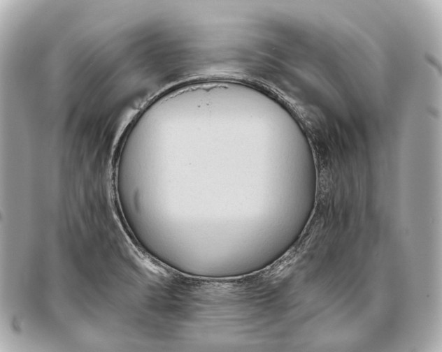 X0000096461470200802071823