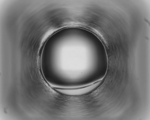 X0000096461472200802071823