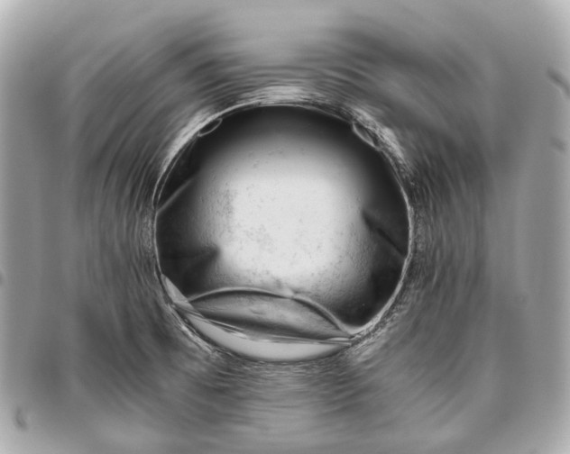 X0000096461473200802071823