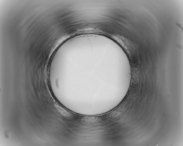X0000096461474200802071823