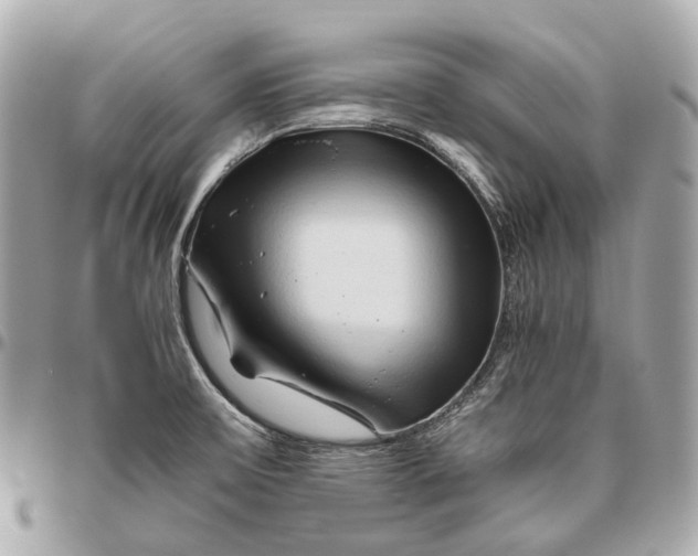 X0000096461475200802071823