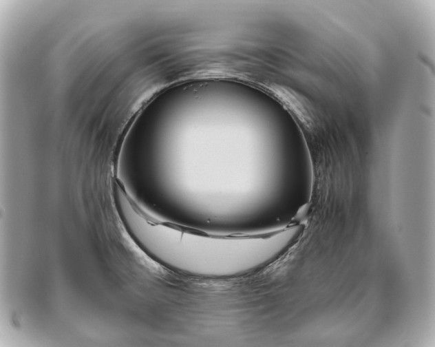 X0000096461476200802071823