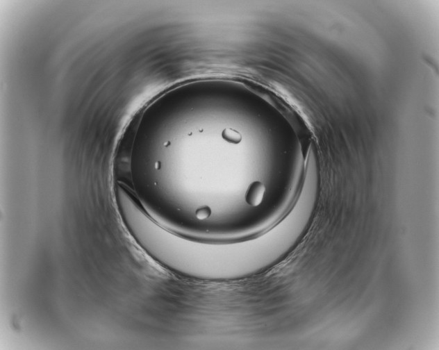 X0000096461480200802071823