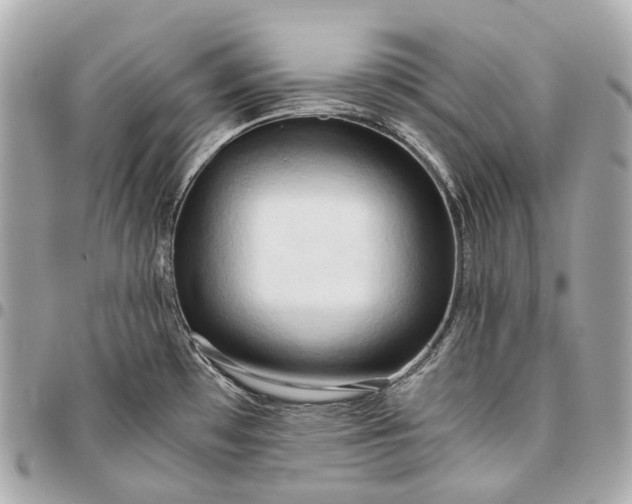 X0000096461481200802071823