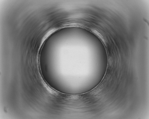X0000096461482200802071823
