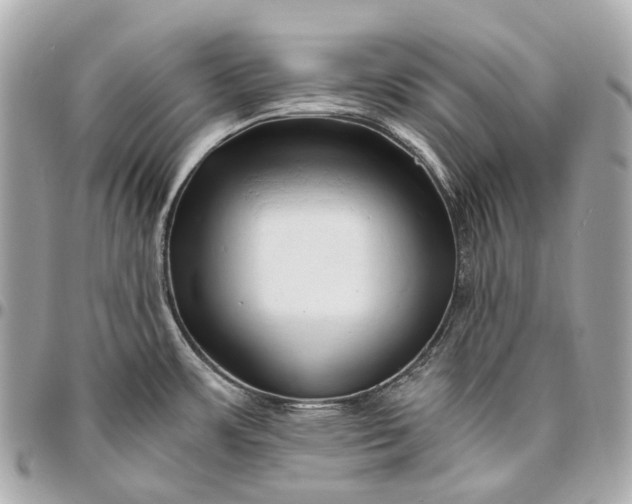 X0000096461483200802071823