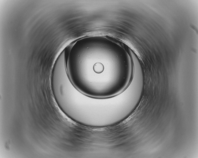 X0000096461484200802071823
