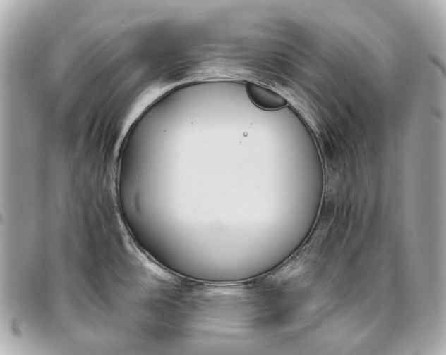 X0000096461486200802071823