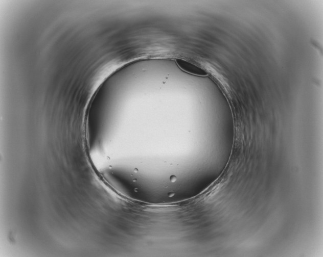 X0000096461487200802071823
