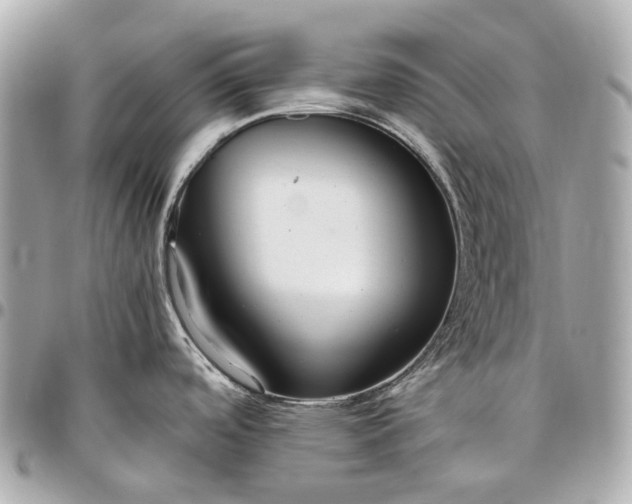 X0000096461488200802071823