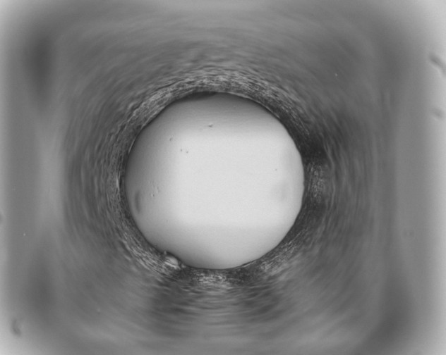 X0000096461489200802071822