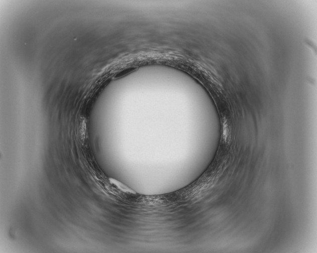 X0000096461492200802071822