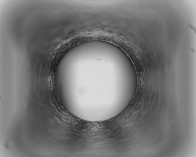 X0000096461493200802071822