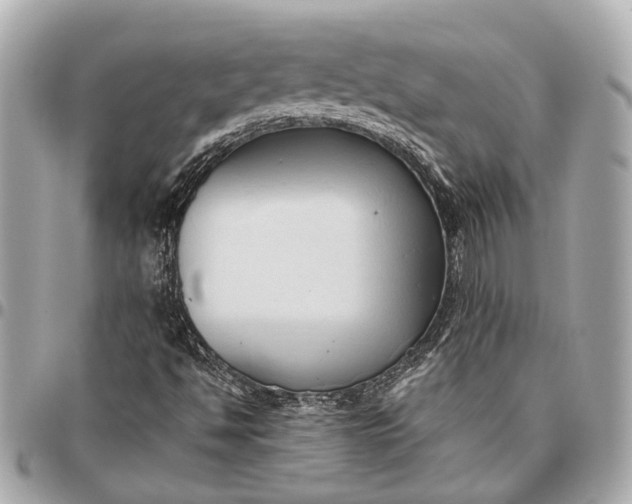 X0000096461494200802071822