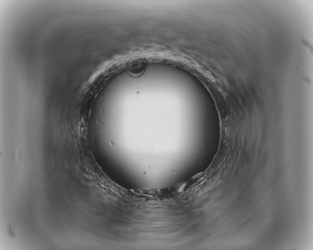 X0000096461495200802071822