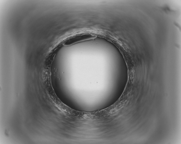 X0000096461496200802071822