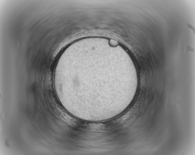 X0000096461498200802071822