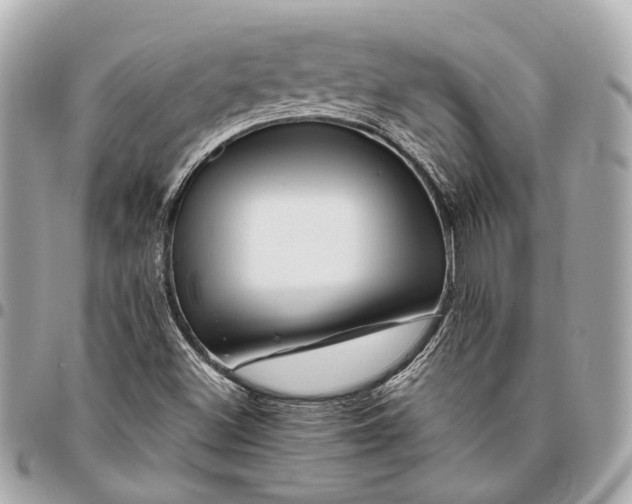 X0000096461500200802071822